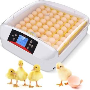 56 Eggs Solar Incubator