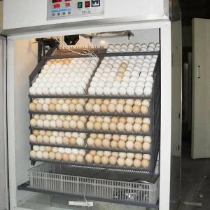 1056 eggs incubator